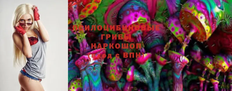 Галлюциногенные грибы Magic Shrooms  Боровск 